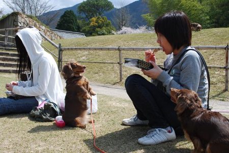 間取り変更のリフォーム