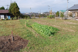 新築住宅の敷地配置